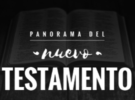 Panorama del Nuevo Testamento (Introduccion al Nuevo Testamento)