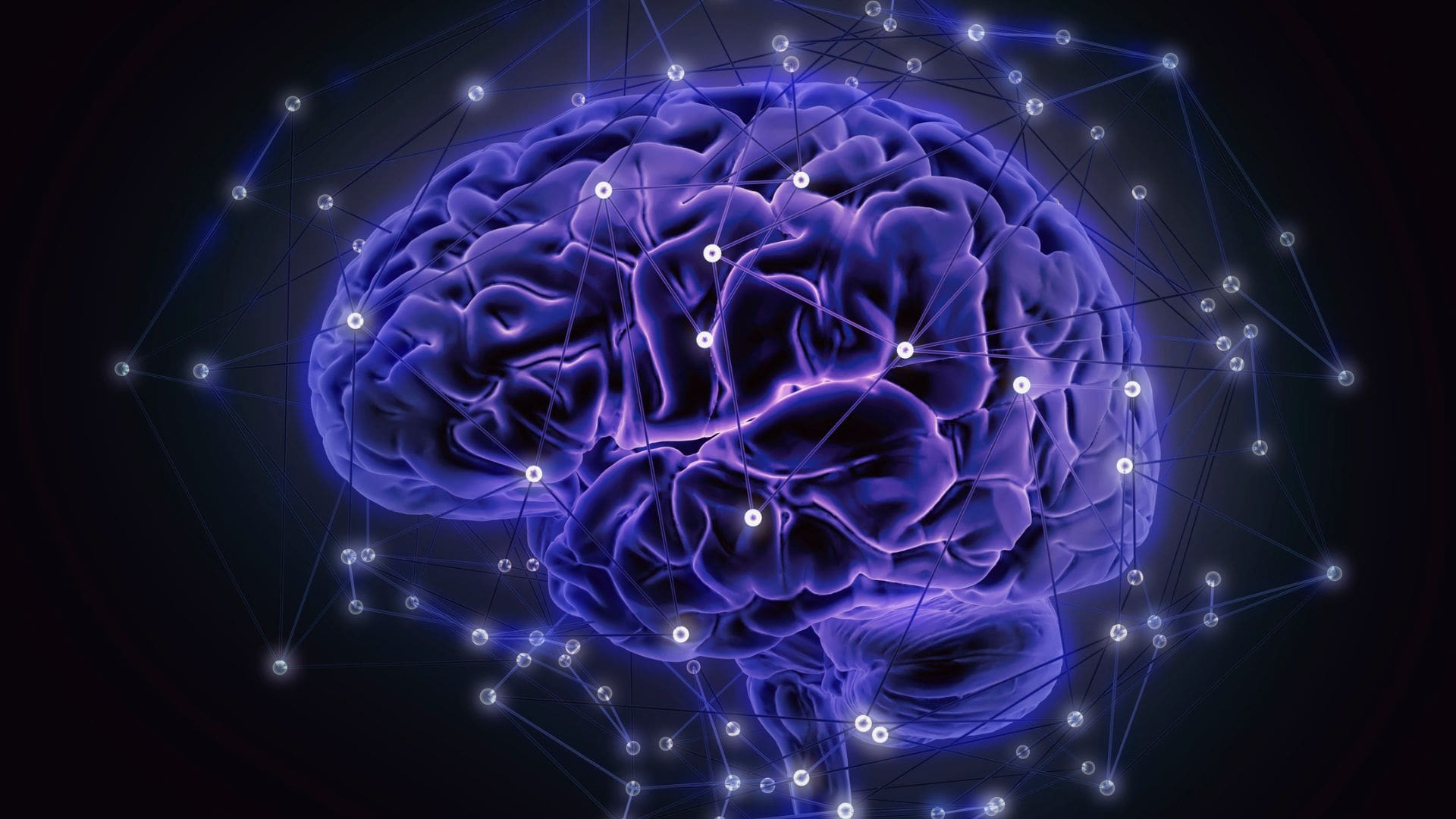 RED 15_NEUROCIENCIAS